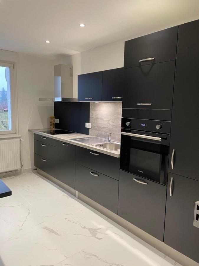 Appartement Les Tilleuls "3 Etoiles" 尼德布龙莱班 外观 照片